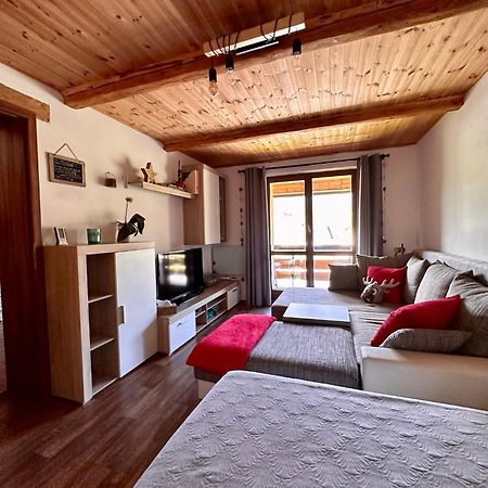 Apartman S Vyhledem Na Jezerni Stenu Železná Ruda Eksteriør billede