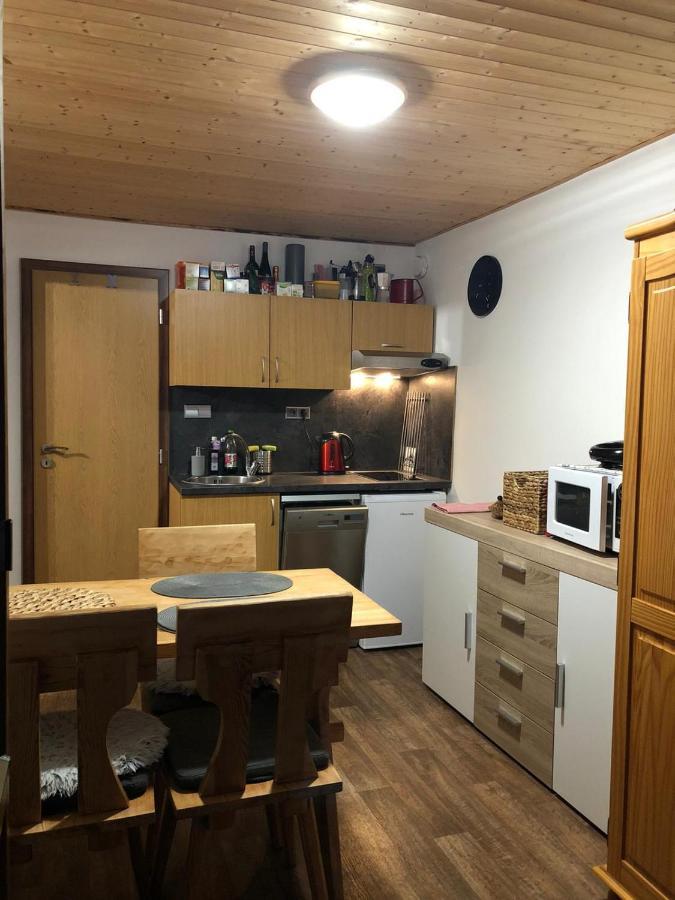 Apartman S Vyhledem Na Jezerni Stenu Železná Ruda Eksteriør billede