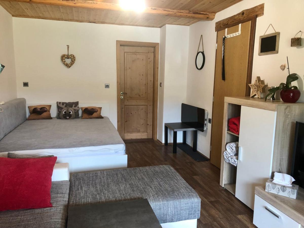 Apartman S Vyhledem Na Jezerni Stenu Železná Ruda Eksteriør billede