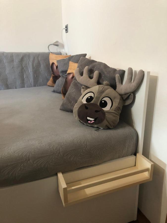 Apartman S Vyhledem Na Jezerni Stenu Železná Ruda Eksteriør billede