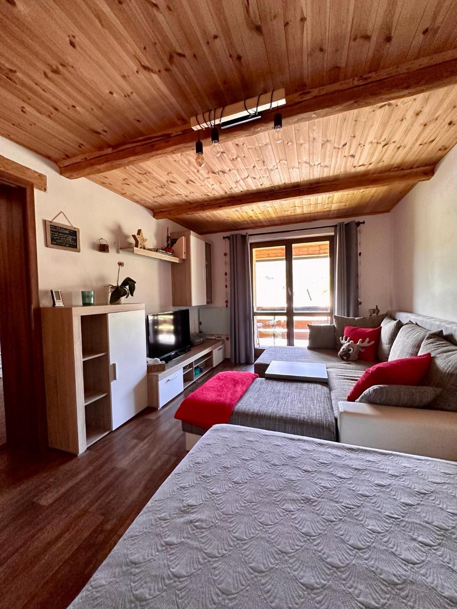Apartman S Vyhledem Na Jezerni Stenu Železná Ruda Eksteriør billede